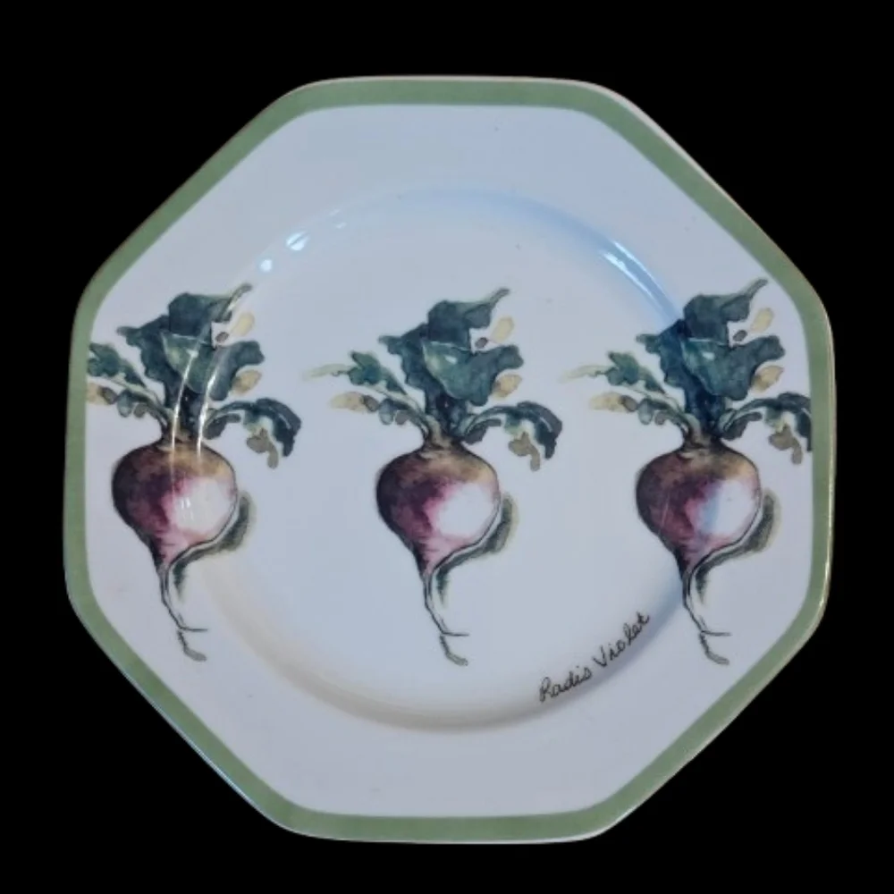 *NWOT William Sonoma Vegetable Garden Salad Plates Set Of 6